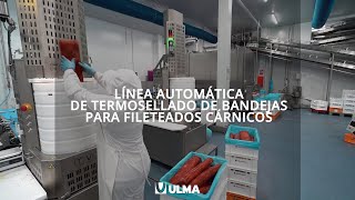 Línea automática de envasado para fileteados cárnicos  ULMA Packaging [upl. by Stannfield]