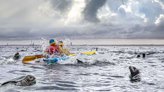 Namibia Swakopmund kayaking with seals [upl. by Breban915]