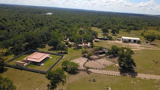 FAZENDA 1000 HECTARES COLOCA 1200 BOI CONFINAMENTO [upl. by Aryek12]