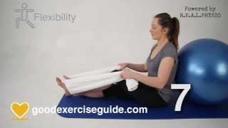 10 Best Exercises for Knee Arthritis Full Physio Sequence [upl. by Notnek]