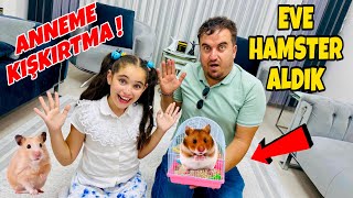 ELİF SİNEM EVE FARE ALDI  ANNEME KIŞKIRTMA  HAMSTER İLE BÜCÜR NAPTI [upl. by Stacie]