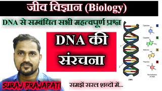 डीएनए की संरचना Structure of DNA  वाट्सन एवं क्रिक मॉडल  न्यूक्लियोटाइड  नाइट्रोजनी क्षार [upl. by Ajaj825]