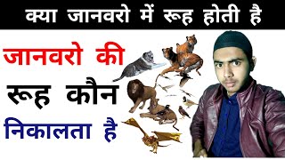 जानवरो की रूह कौन निकालता है  Animals spirit  kya janwaro ki rooh hoti hai  सय्यद अली [upl. by Idnat323]