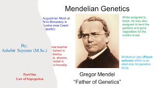 Mendelian Genetics Part One ሜንደሊያን ጄኔቲክስ በአማርኛ [upl. by Shawna]