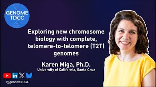 Exploring new chromosome biology with complete telomeretotelomere T2T genomes [upl. by Iveel]