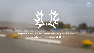 Impressionen der Pflastermusterung mit Dreieck  Trakehner Hengstmarkt 2017 [upl. by Amir]