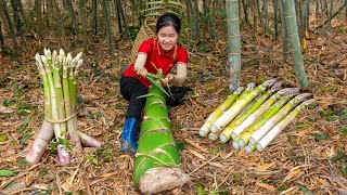 Harvesting BAMBOO SHOOTS for sell  Cooking with nature  Ella Daily Life [upl. by Ilse693]