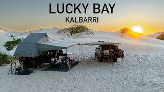 Bogged and Blown Away at Lucky Bay Kalbarri [upl. by Annaehr226]