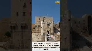 Citadel of Aleppo Aleppo Syria 3000 BC [upl. by Anthiathia]