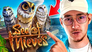 DES CHOUETTES SUR SEA OF THIEVES  🦉 [upl. by Fulbright]