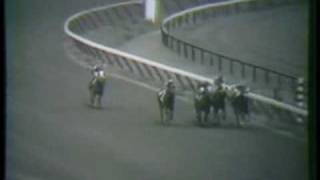 SECRETARIAT  1972 Sanford Stakes with stretch call amp analysis [upl. by Eelrihs988]