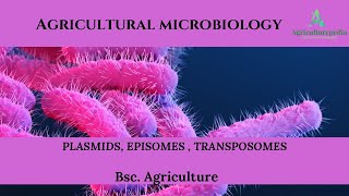 Plasmids Episomes Transposons Best explanation in hindi and english [upl. by Zerline]