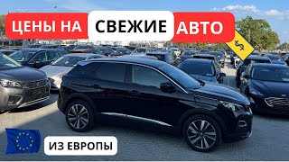 СВЕЖИЕ Авто из Европы Обзор ЦЕН Сентябрь [upl. by Edaj]