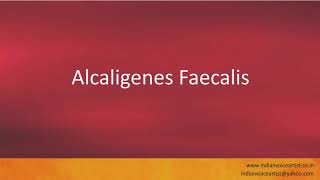 Pronunciation of the words quotAlcaligenes Faecalisquot [upl. by Wons466]