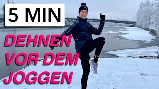 5 MIN AUFWÄRMÜBUNGEN VOR DEM WINTERLAUF [upl. by Nommad]