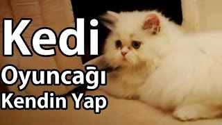 Kedi ve Ucuz Oyuncak Yapımı [upl. by Auot]