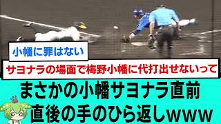 まさかの小幡サヨナラ直前直後の阪神ファンの手のひら返しwww【阪神タイガースプロ野球なんJ2ch5chスレまとめセリーグ小幡竜平サヨナラタイムリー石井大智西勇輝2024年6月21日】 [upl. by Nosnevets832]