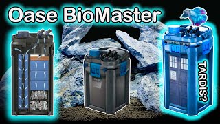 Oase Biomaster Thermo Unboxing and Setup The Best Aquarium Filter [upl. by Stringer727]