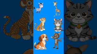 saling menuduhkartunlucu animal cartoon [upl. by Pownall170]