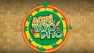 AGRI TAYO DITO ABSCBN [upl. by Dier]