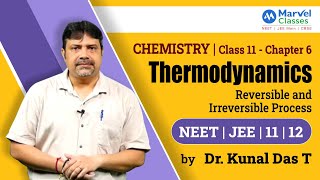 Thermodynamics  Reversible amp Irreversible Process  Ch6  Class 11 Chemistry  NEET  JEE  CBSE [upl. by Lozar214]