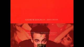 Andrew Ridgeley  Red Dressavi [upl. by Merrili]