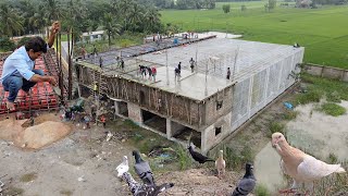 Second Floor Of Parrot Dipankar New Farm Is Done [upl. by Yelac]