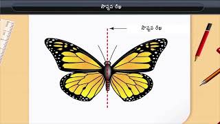 సౌష్టవ రేఖ  Line of Symmetry  Class 6  Maths [upl. by Yhtak228]