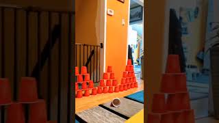 Cup Stacking Challenge [upl. by Kirsten602]