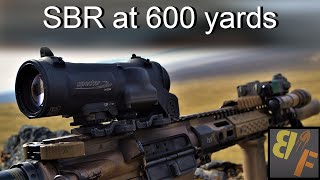 115 SBR with Elcan Spectre to 600 yards [upl. by Aika548]