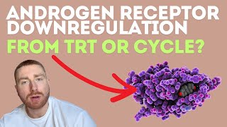 Androgen Insensitivity Syndrome Androgen Receptor Downregulation Myths DEBUNKED [upl. by Cointon]