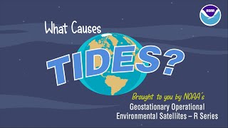 What Causes Tides [upl. by Eilime]