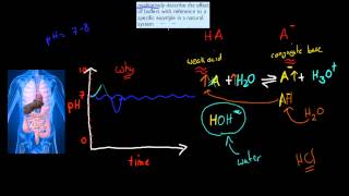 8 Natural buffer systems HSC chemistry [upl. by Anana48]