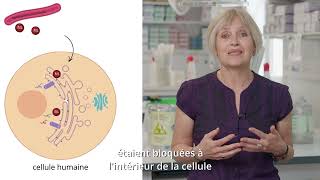 Fondamentalement appliqué  du labo aux patients avec Caroline Demangel [upl. by Netnerb703]