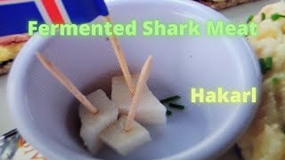 I Ate Fermented Shark Meat In Reykjavik Iceland [upl. by Suzetta]