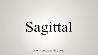 How To Say Sagittal [upl. by Timothy843]