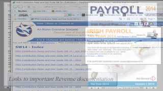 Irish Payroll 2014 Training Course amp Reference Guide PC Edition [upl. by Eiaj]