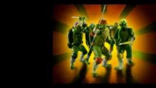 Ninja Turtles The Next Mutation with TMNT 2003 theme [upl. by Mali]