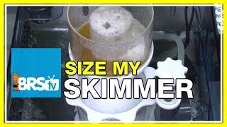 FAQ 24 Is having a protein skimmer thats rated larger than your tank advantageous [upl. by Jephum127]