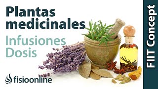 Tratamiento con plantas medicinales  Cómo hacer la infusión dosis y duración de un tratamiento [upl. by Anaibaf]