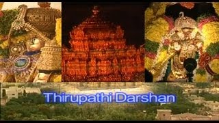 Tirupati Darshan I A Pilgrimage to Tirumala During Brahmotsavam [upl. by Sillsby]