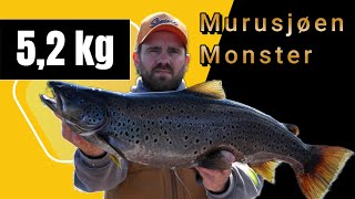 52 kg Murusjøen Monster [upl. by Briny]