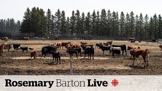 Saskatchewan farmer says rebates dont offset carbon tax in agriculture [upl. by Holloway]