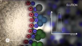 Principles of Ion exchange chromatography [upl. by Hameean508]