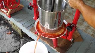 Juicing Apples in TSM Harvest Fruit and Wine Press [upl. by Yance]