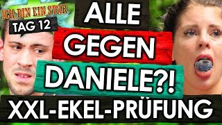 Dschungelcamp 2018  Tag 12 JENNYs Prüfung 🤮 ALLE GEGEN Daniele Negroni ⚡🤬 IBES RTL [upl. by Dolly32]