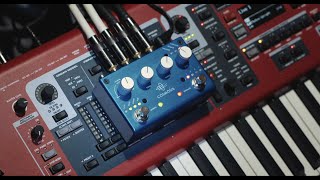 5 Beautiful Soundscapes on Cosmosis x Nord Stage 3  Pigtronix [upl. by Haimorej]