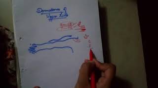 UPPER LIMB dermatomes drawing made FUN and easyanterior side [upl. by Royal]