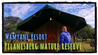 Pilansberg National park l self drive safari l South Africa [upl. by Aralk]