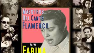 Rafael Farina  De Entre Todas las Mujeres  Fandangos Flamenco Masters [upl. by Leduar321]